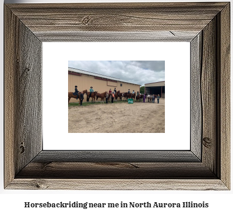 horseback riding near me in North Aurora, Illinois